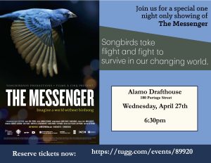 The Messenger flyer